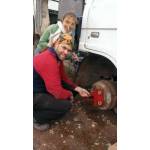 Winch Bearing Extractor